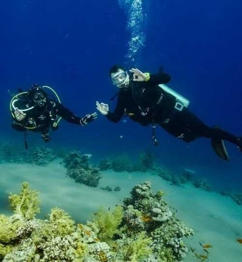 Sharm El Sheikh: Red Sea Fashion Diving Adventure for kvalifiserte dykkere