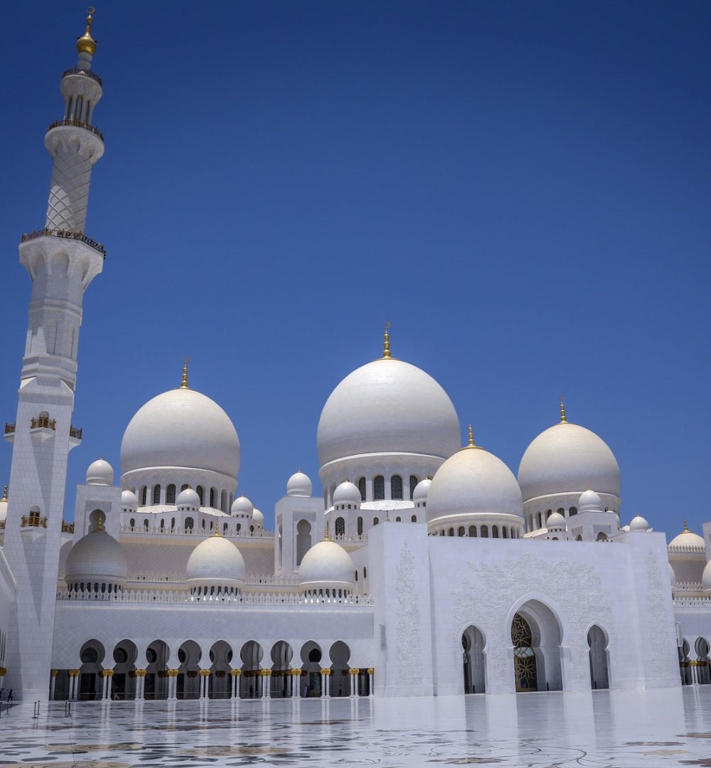 Din Dubai: Tur Mare Moschee și Muzeul Luvru din Abu Dhabi