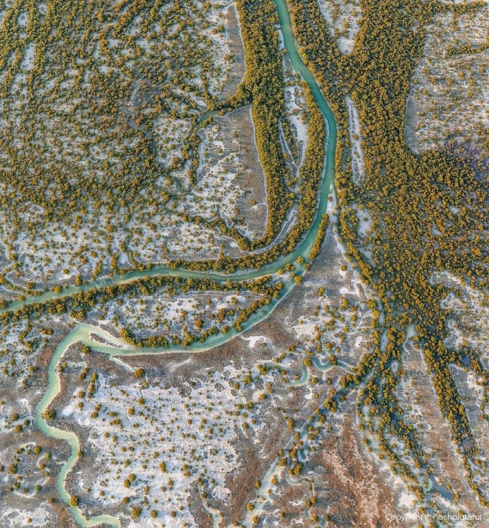 Doha: Zburați peste pădurea de mangrove într-un girocopter