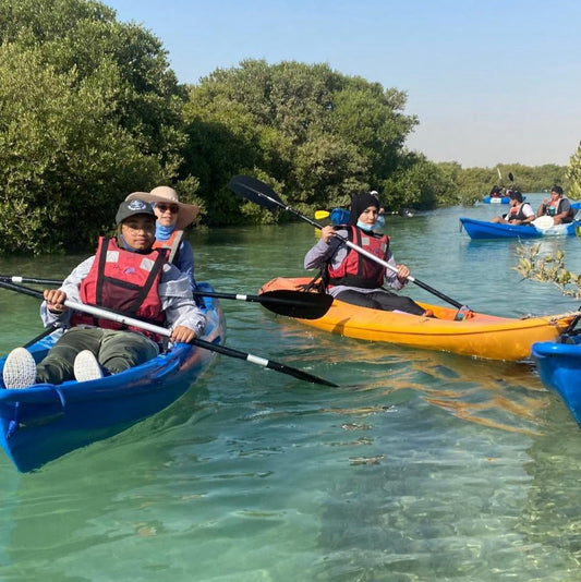 From Doha: Al Thakira Mangroves Kayaking and Purple Island Tour