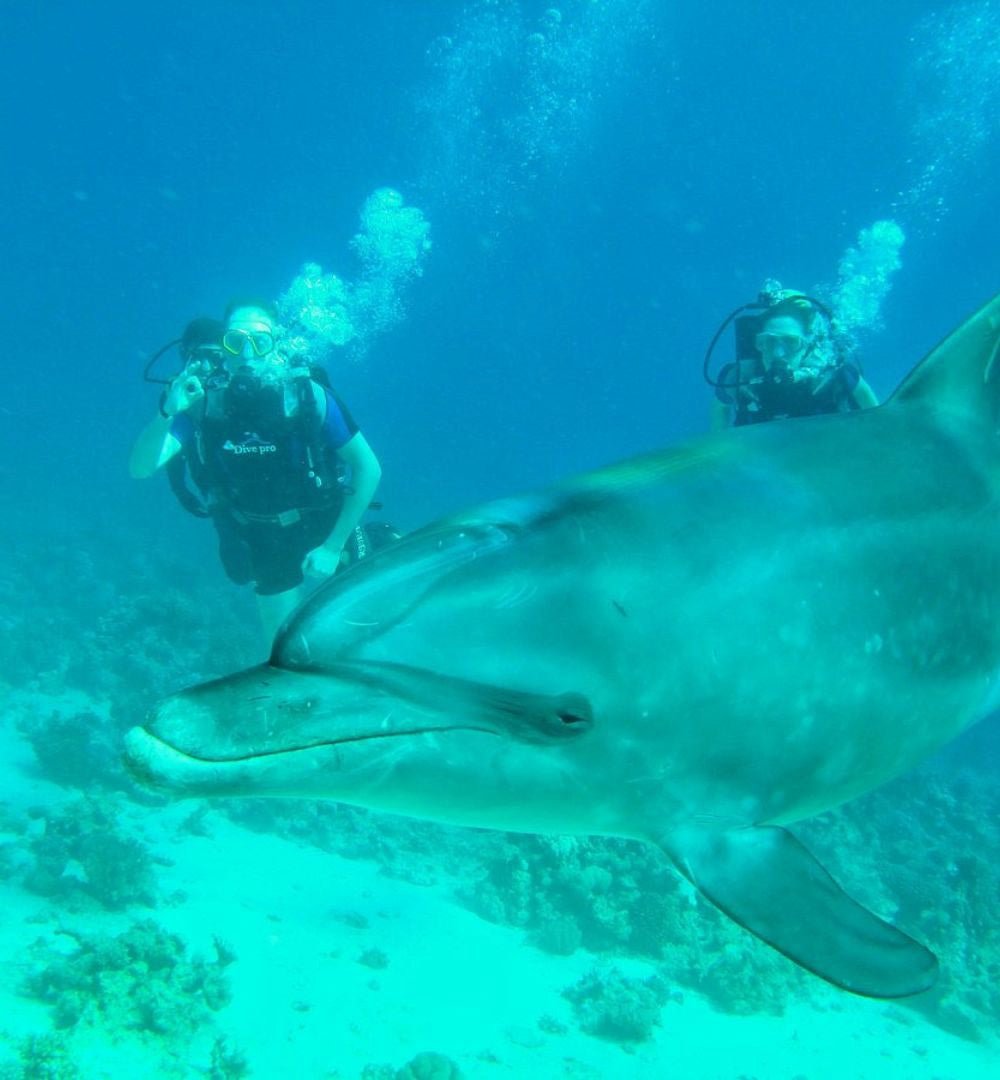 Hurghada: viagem de mergulho