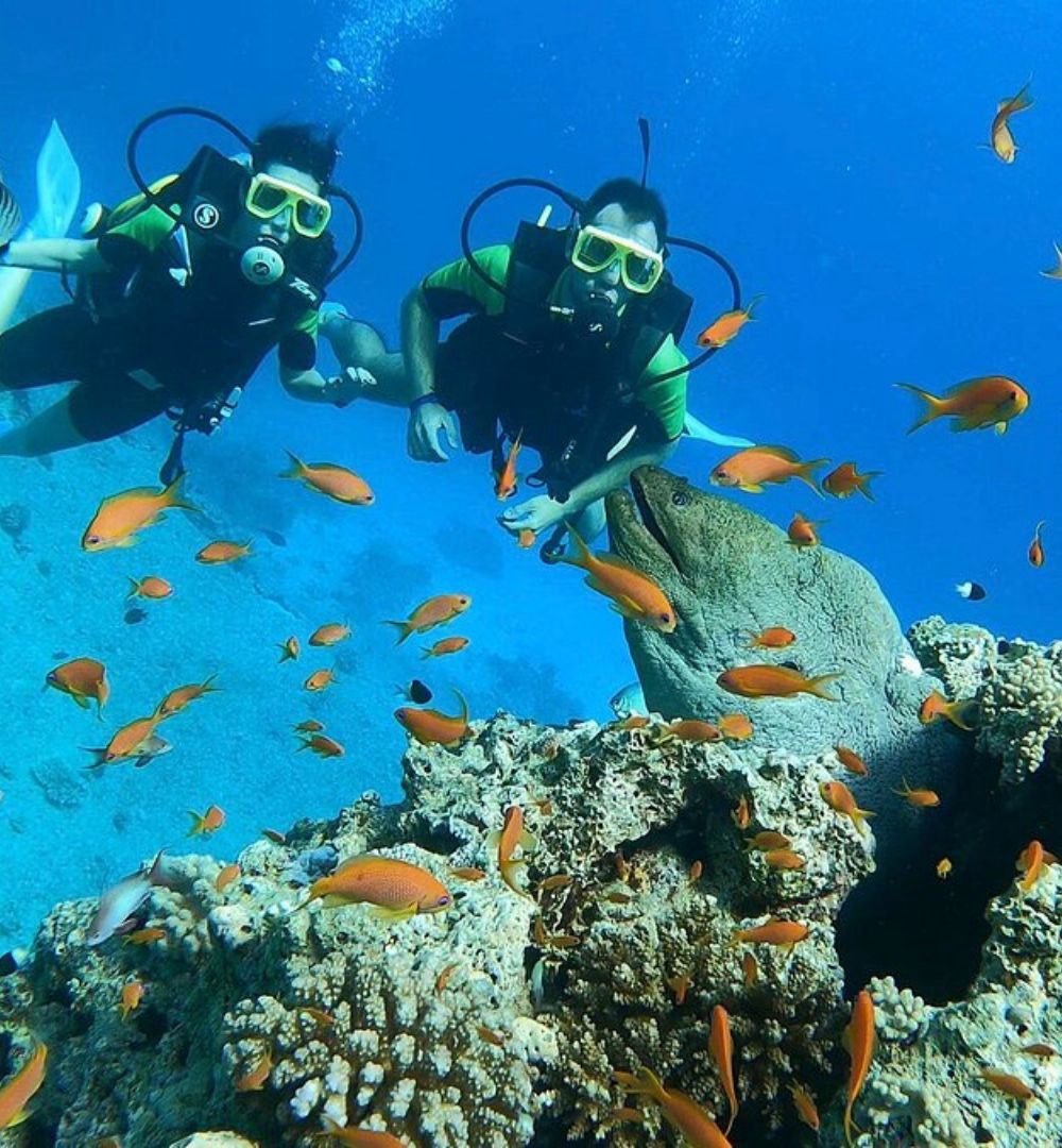 Hurghada: viagem de mergulho