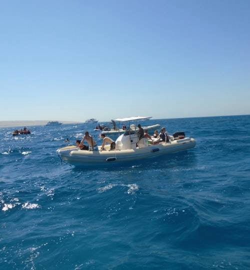 Hurghada: Experiență privată cu barcă rapidă pentru observarea delfinilor
