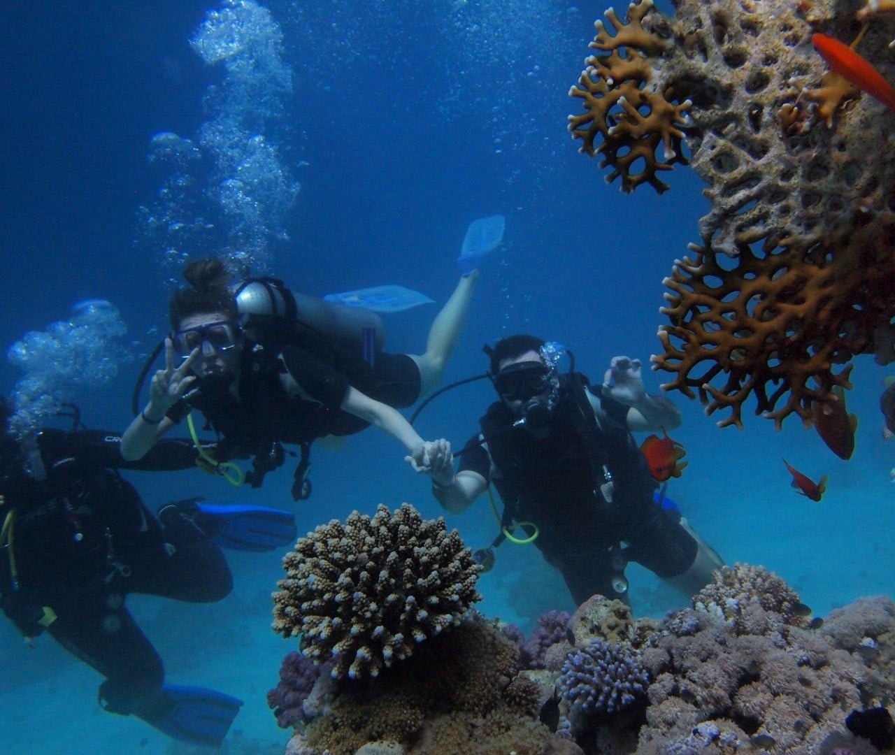 Hurghada: Viagem à Ilha Paraíso com Snorkeling, Mergulho e Almoço