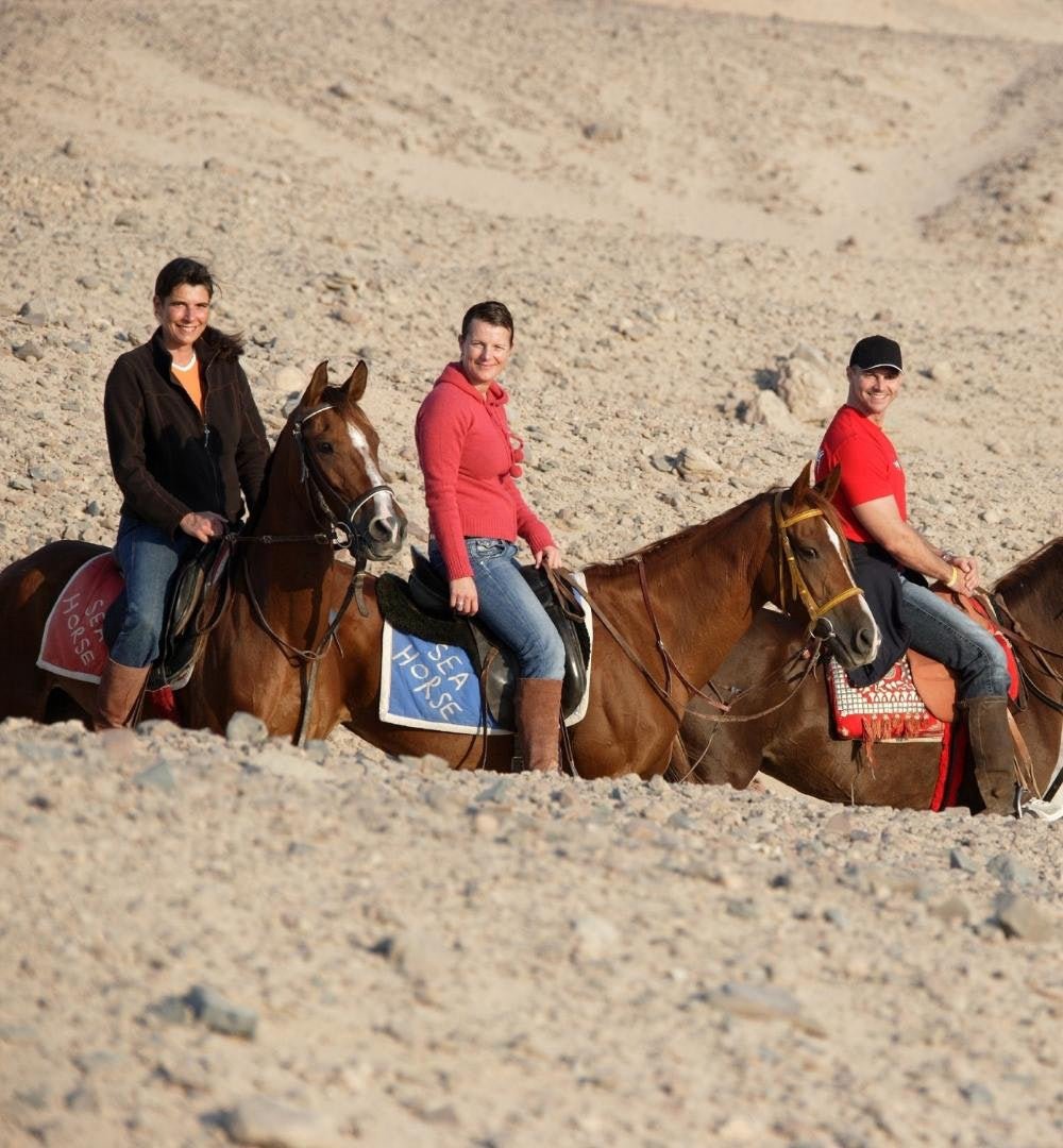 Hurghada: Sabah Binicilik Deneyimi