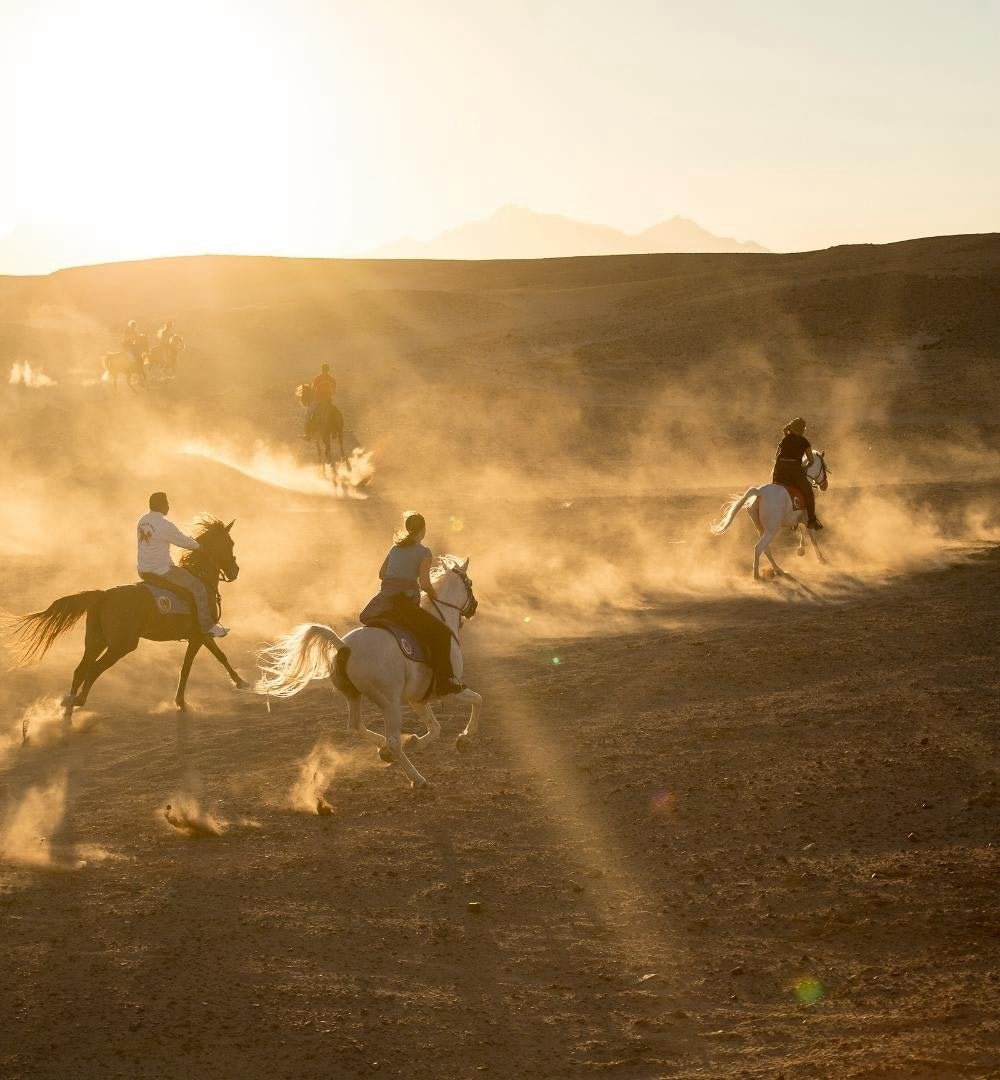 Hurghada: experiência de passeio a cavalo ao pôr do sol