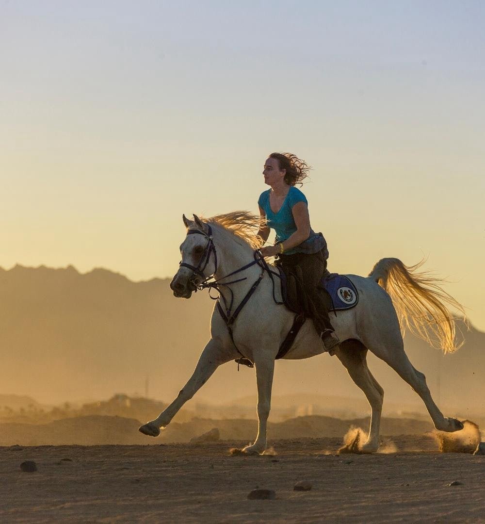 Hurghada: experiência de passeio a cavalo ao pôr do sol
