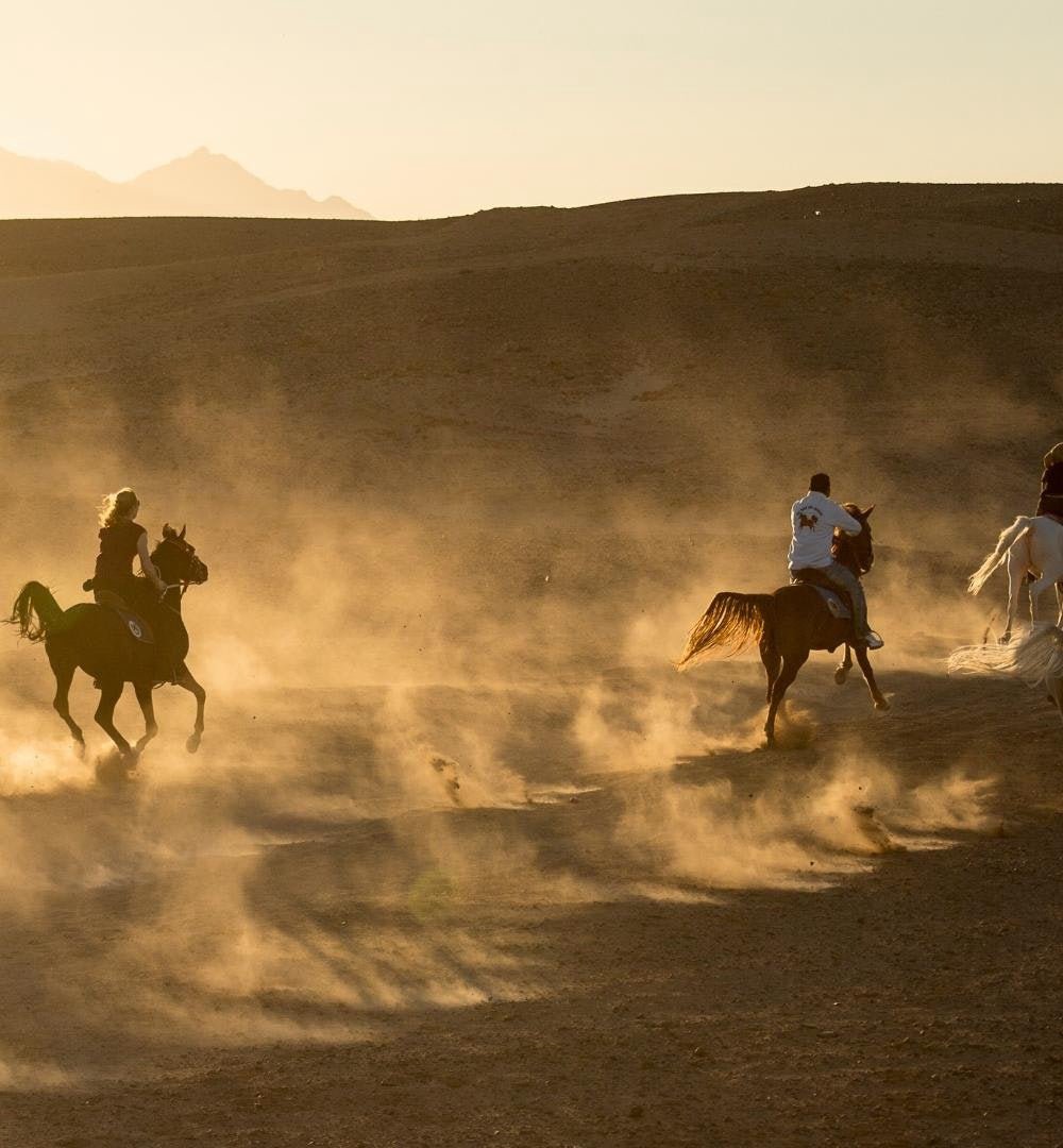 Hurghada: experiência de passeio a cavalo ao pôr do sol