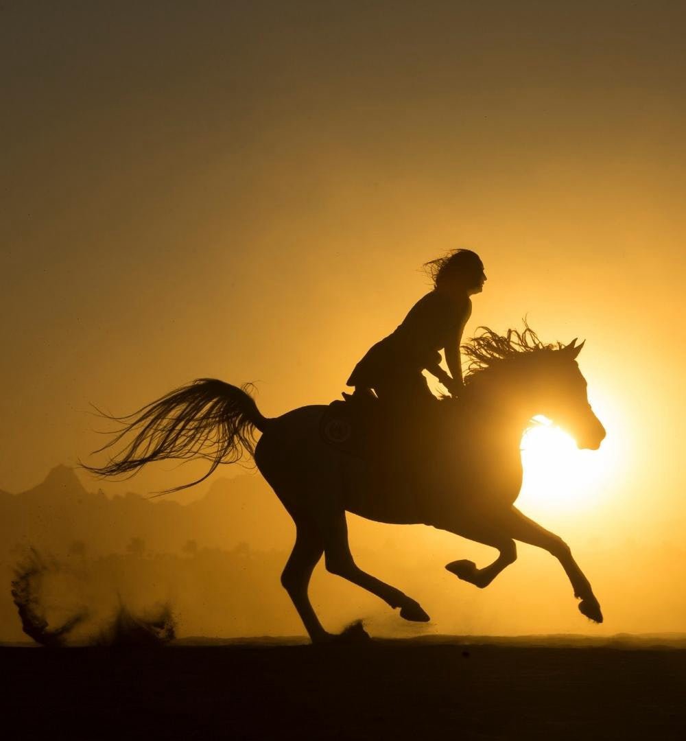 Hurghada: experiência de passeio a cavalo ao pôr do sol