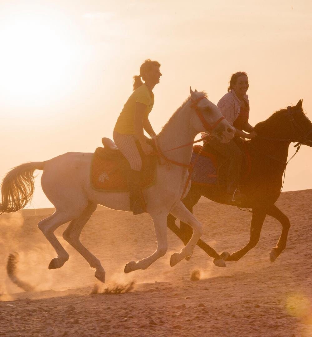 Hurghada: experiência de passeio a cavalo ao pôr do sol