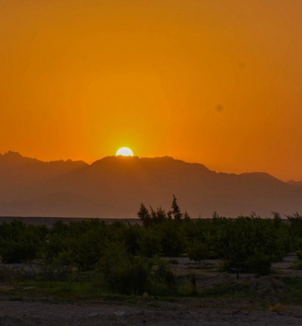 الغردقة: تجربة مشاهدة النجوم في الصحراء
