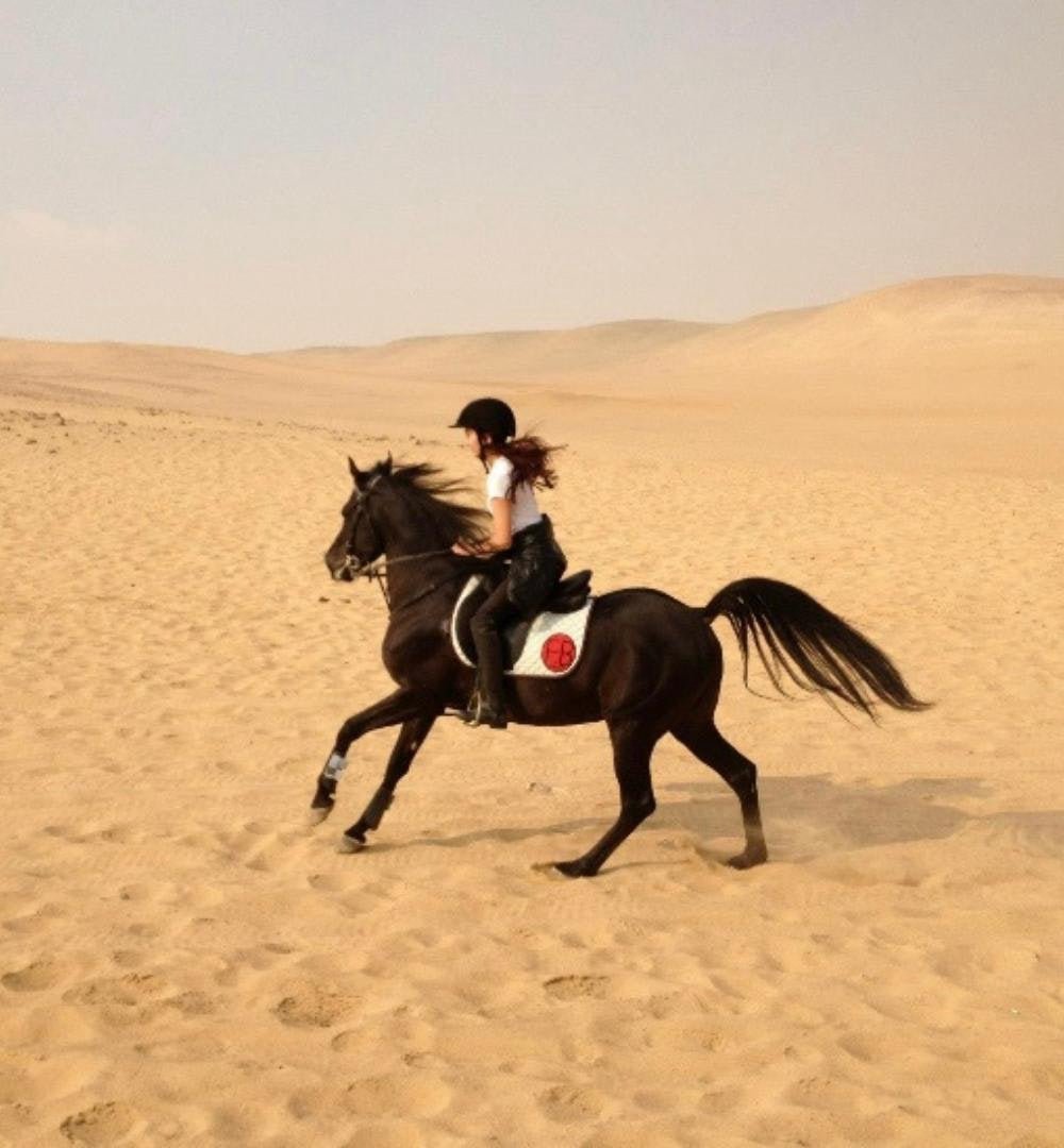 القاهرة: تجربة ركوب الخيل بالقرب من أهرامات الجيزة