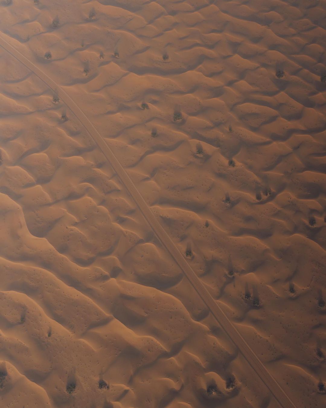 Dubai: Esperienza in Mongolfiera Signature