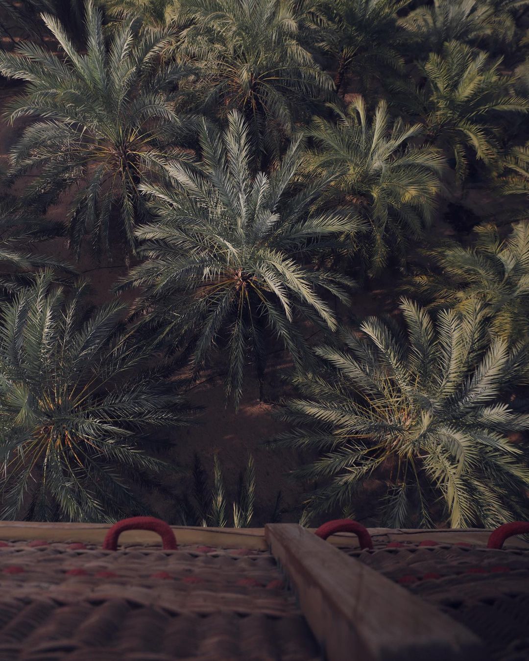 Dubai: Esperienza in Mongolfiera Signature