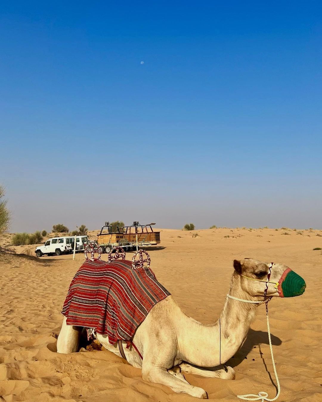 Dubai: Esperienza in Mongolfiera Signature