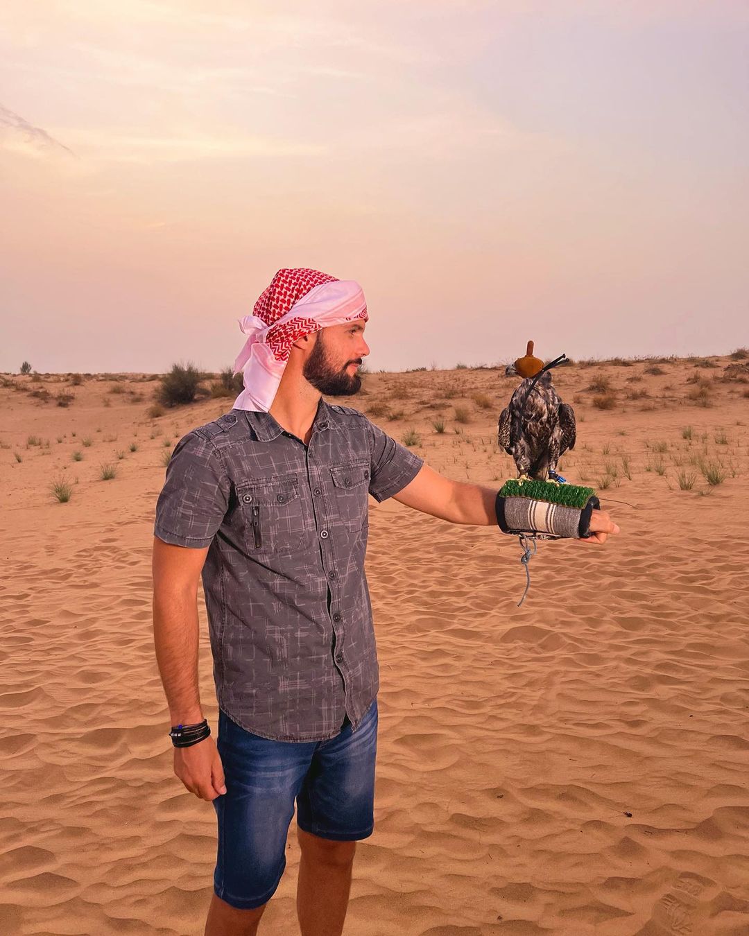Dubai: Heritage Falconry and Nature Safari