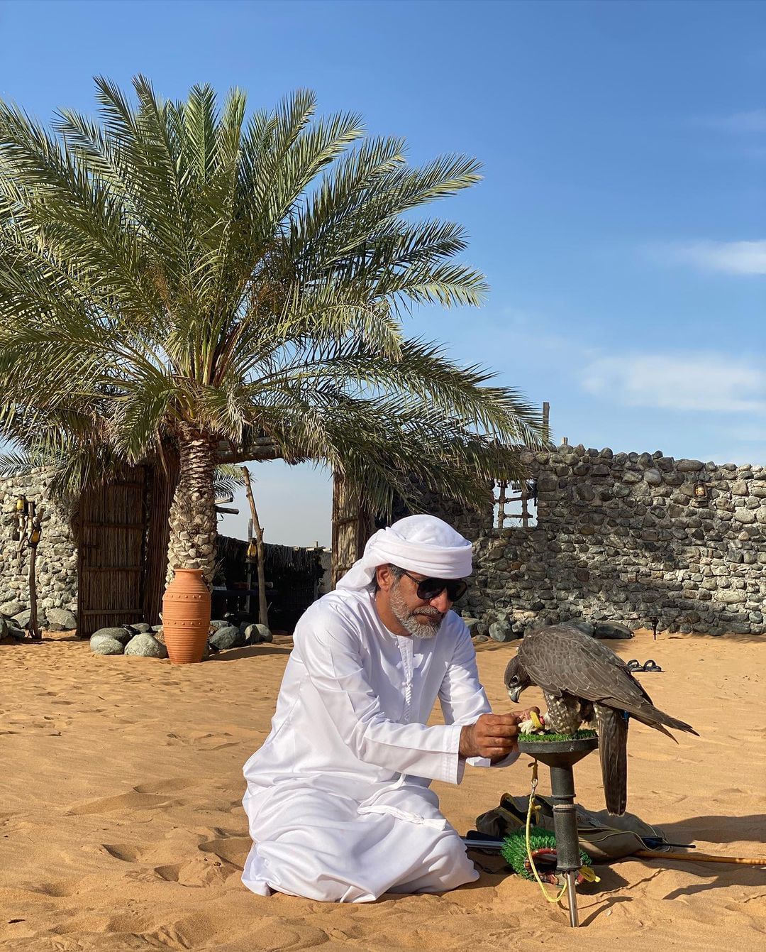 Dubai: Royal Falconry Training Experience (Private Cars)