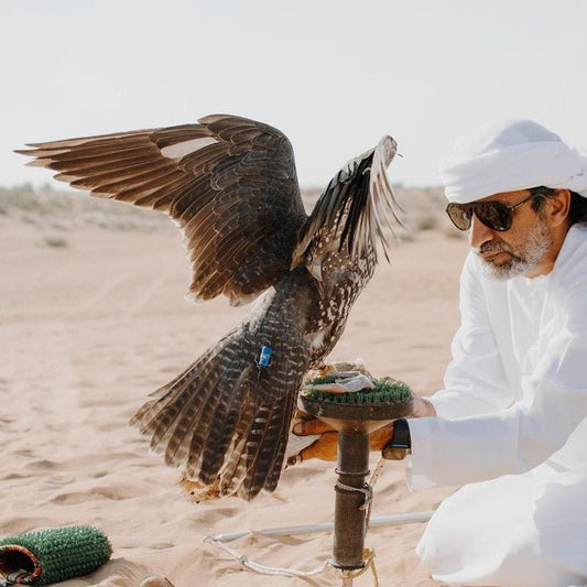 Dubaj: Królewska Szkoła Sokolnictwa (Prywatne Samochody)