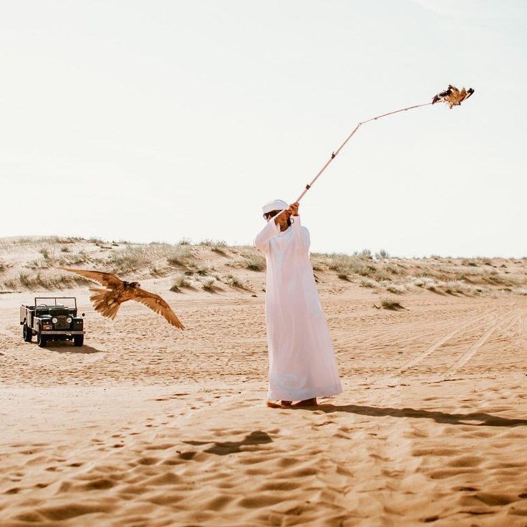 Dubai: Royal Falconry Training Experience (Private Cars)