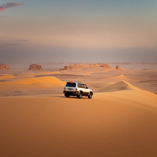 From Cairo: Fayoum Magic Lake 4x4 Desert Safari and Sandboarding Tour