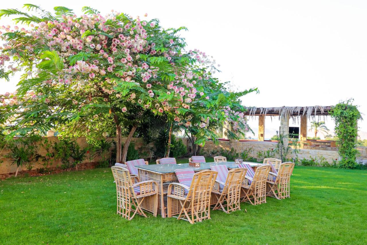 Fayoum: Stay at Tache Boutique Hotel in Tunis Village