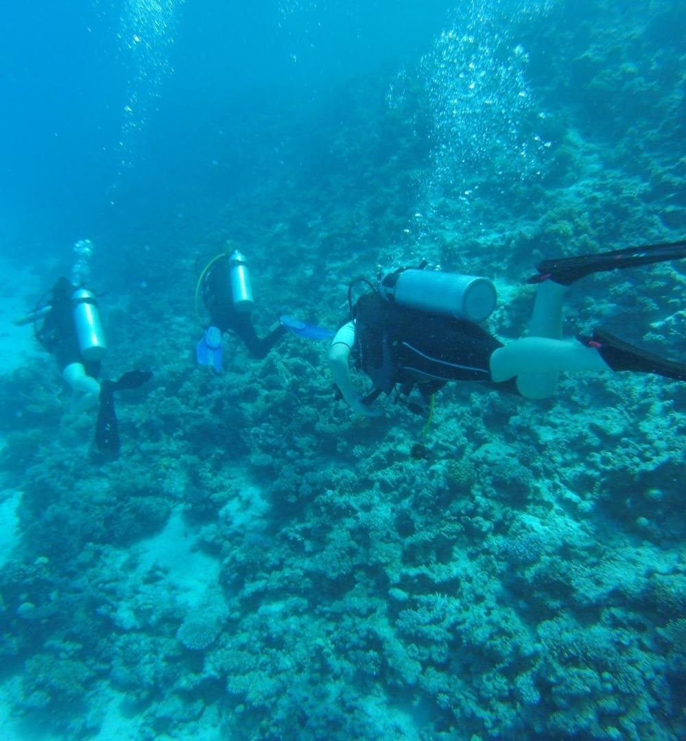 El Gouna:探索水肺潜水