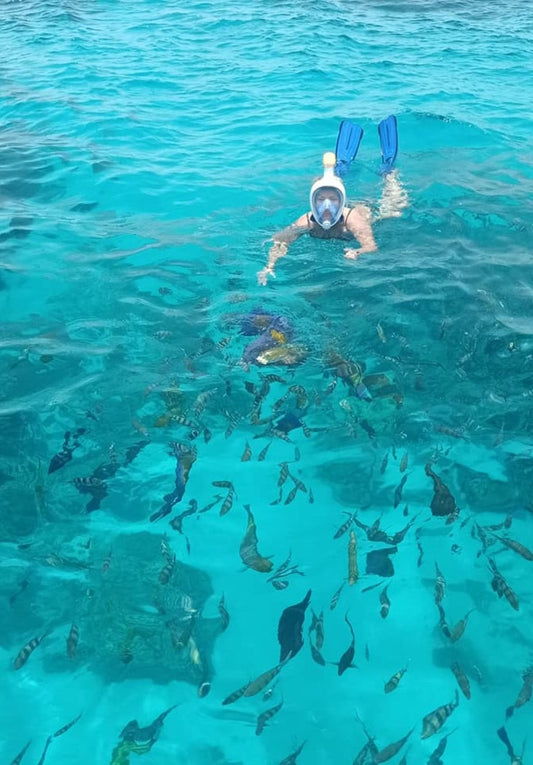 El Gouna: Wisata Snorkeling Setengah Hari