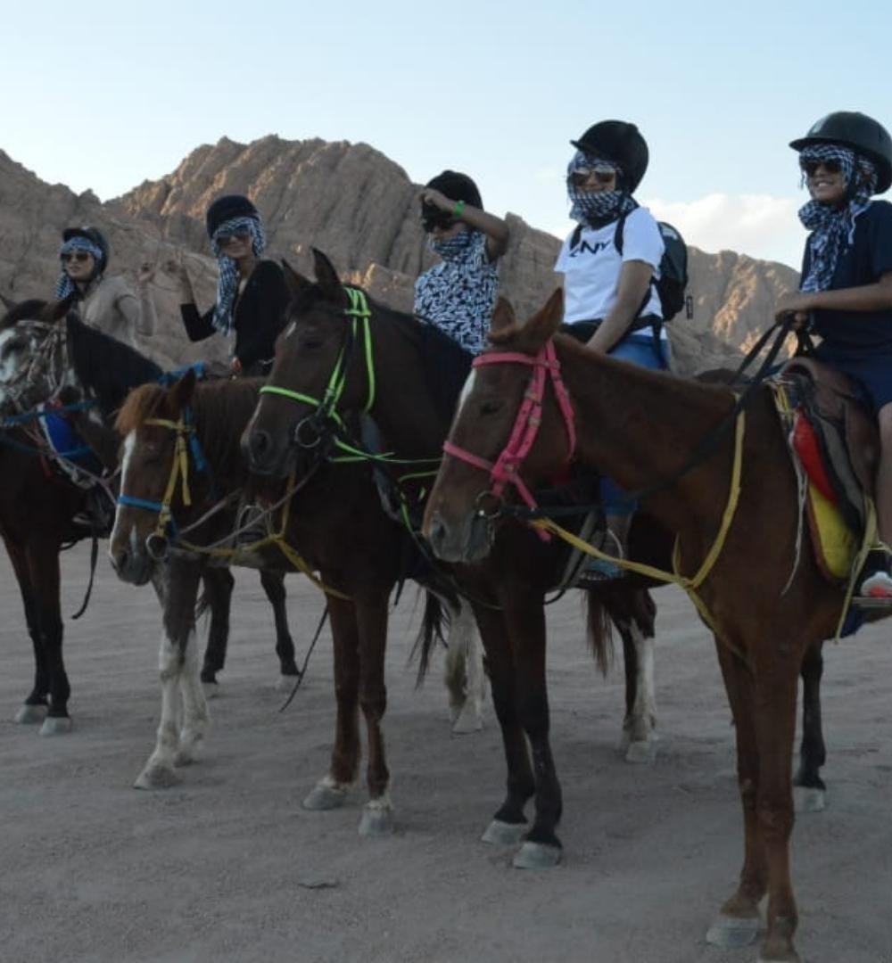 Sharm El Sheikh: Poranna Jazda Konna na Pustyni