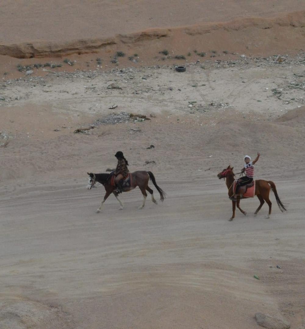 Sharm El Sheikh: Poranna Jazda Konna na Pustyni