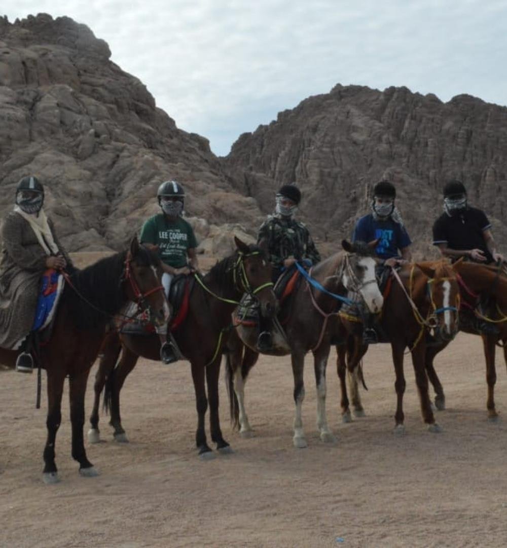Sharm El Sheikh: passeio a cavalo ao pôr do sol no deserto