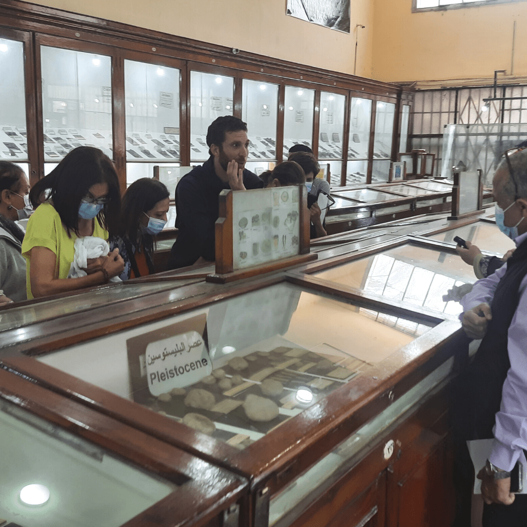 Caïro: Alles over stenen in het Egyptisch Geologisch Museum