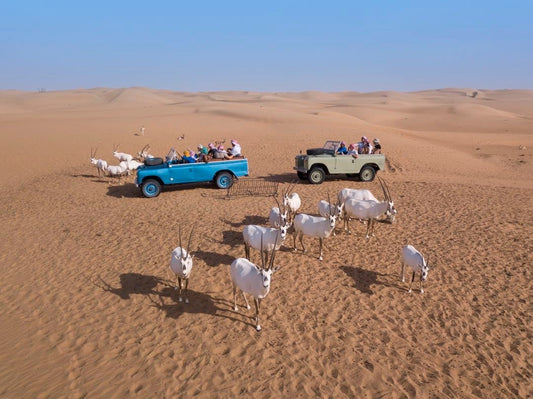 Dubaj: Beduińskie Safari na Pustyni z Tradycyjnym Śniadaniem