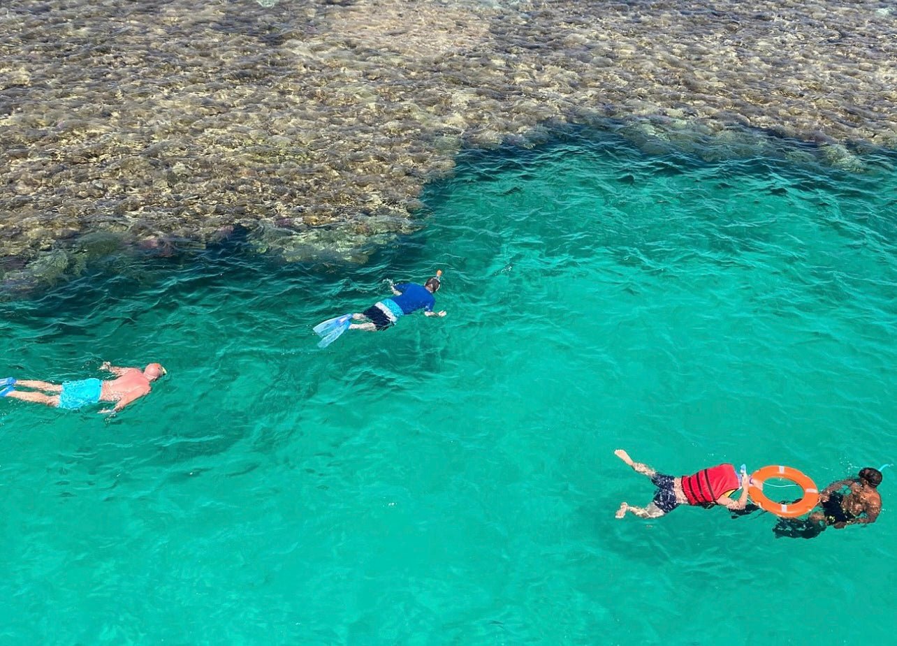 沙姆沙伊赫:高级浮潜游轮和烧烤自助午餐