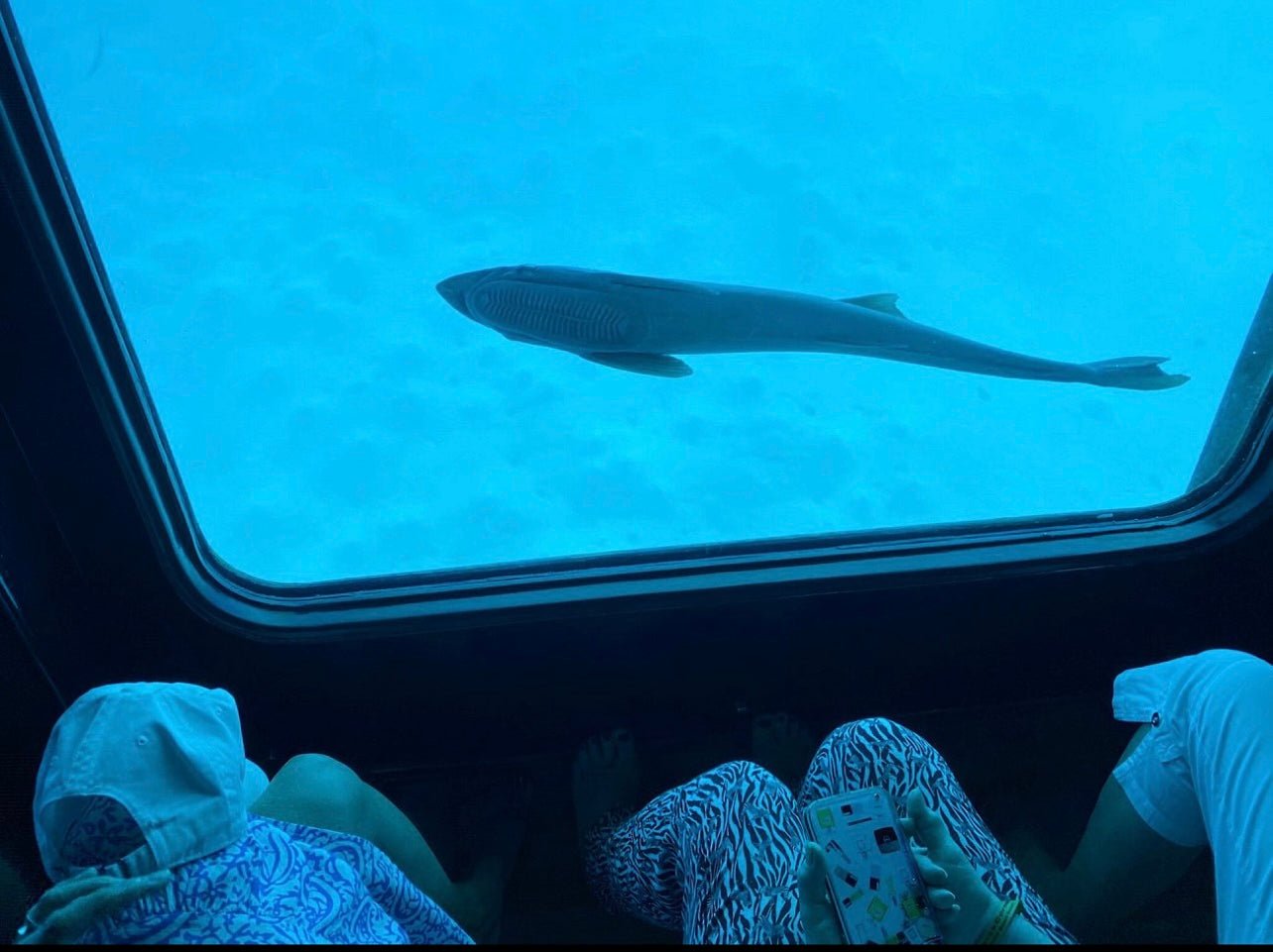 Sharm El Sheikh: Royal Seascope Glass Boat Submarine Cruise