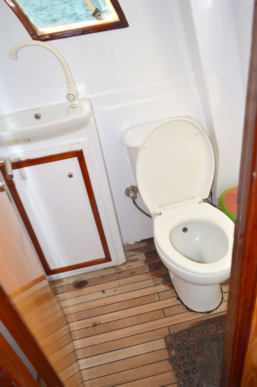 El Gouna: excursión de un día en barco privado a Bayoud