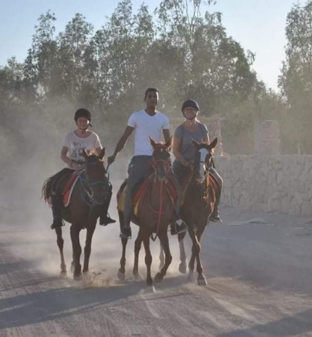 Sharm El Sheikh: Poranna Jazda Konna na Pustyni