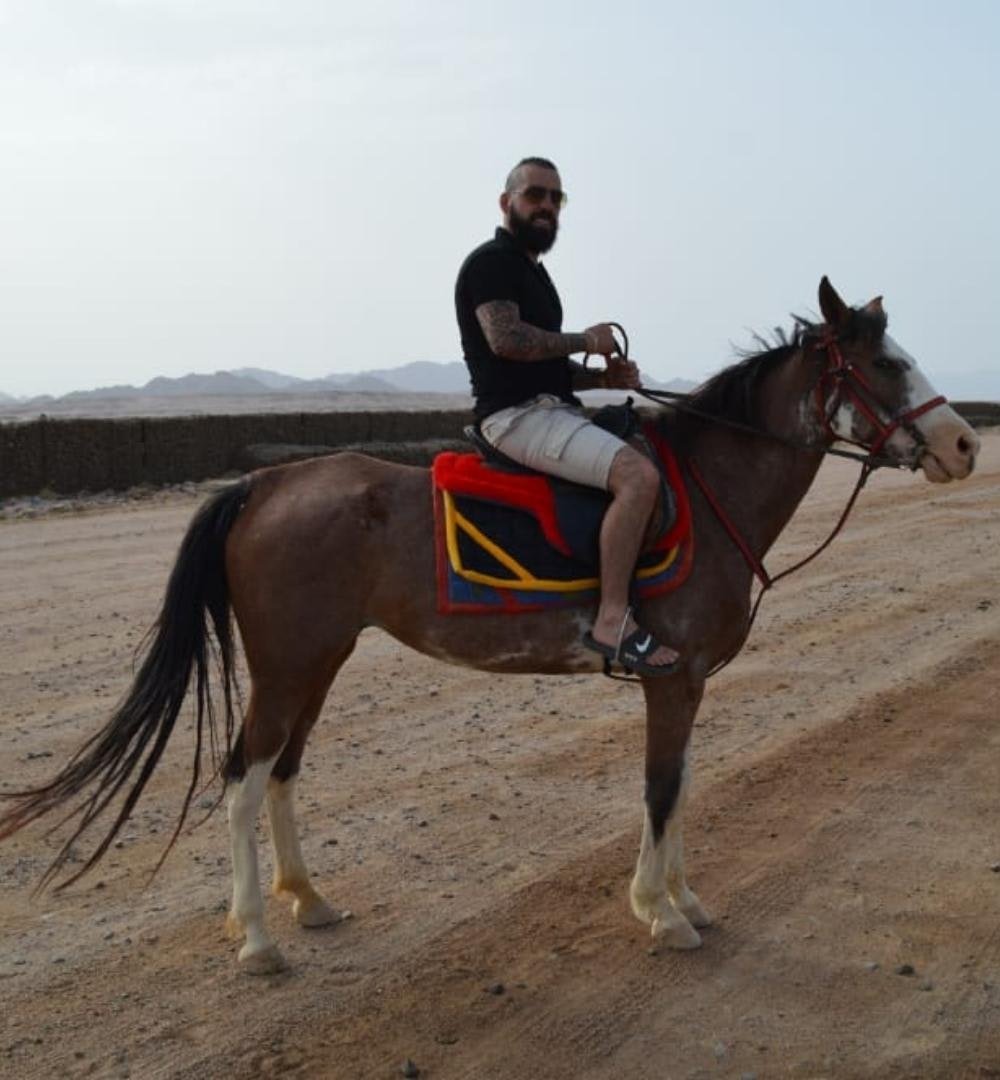 Sharm El Sheikh: Passeggiata a Cavallo al Tramonto sulla Spiaggia delle Mangrovie