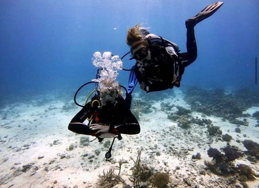 El Gouna: Intro Diving for Beginners