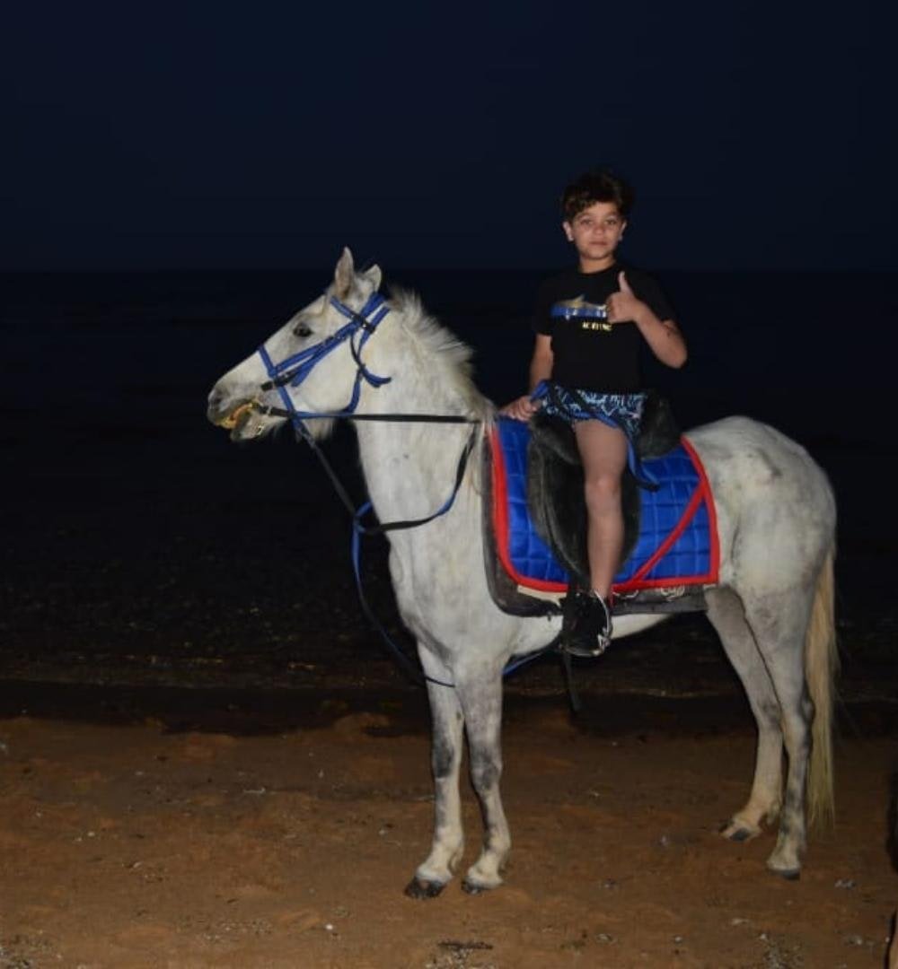 Sharm El Sheikh: Passeggiata a Cavallo al Tramonto sulla Spiaggia delle Mangrovie