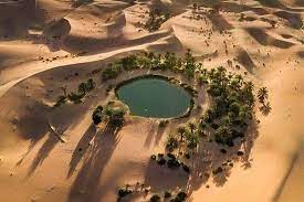 From:ブラック&ホワイト砂漠とバヒリヤオアシスのガイドツアー