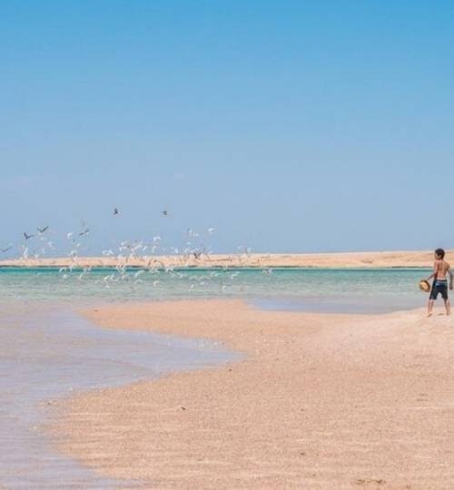 Sharm El Sheikh: Snorkeltrip naar Ras Mohamed & The White Island aan boord van een luxe jacht