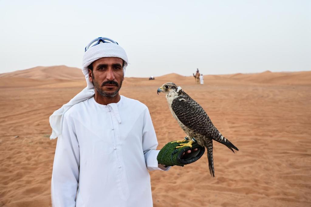 Dubai: 1000cc Dune Buggy Tour in the desert