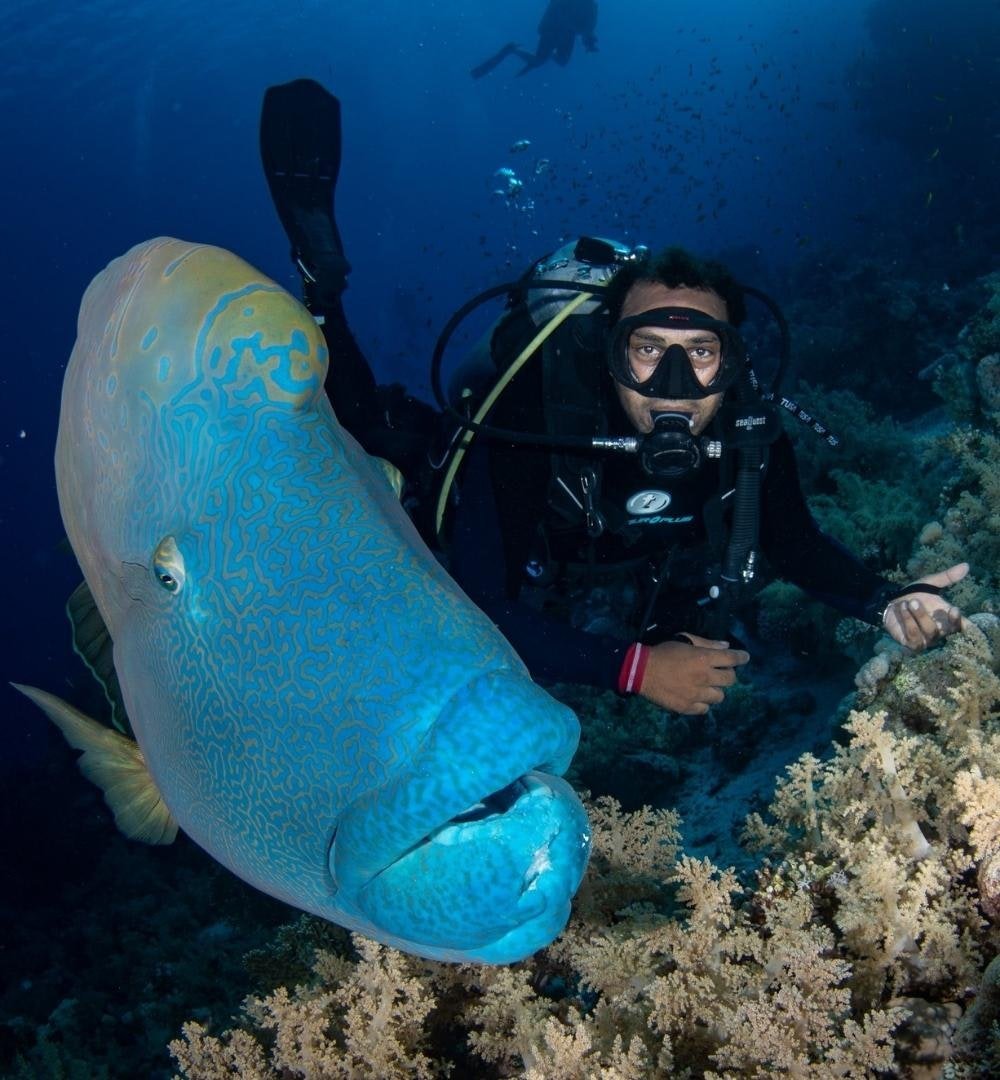 Sharm El Sheikh: Advanced Diving Course