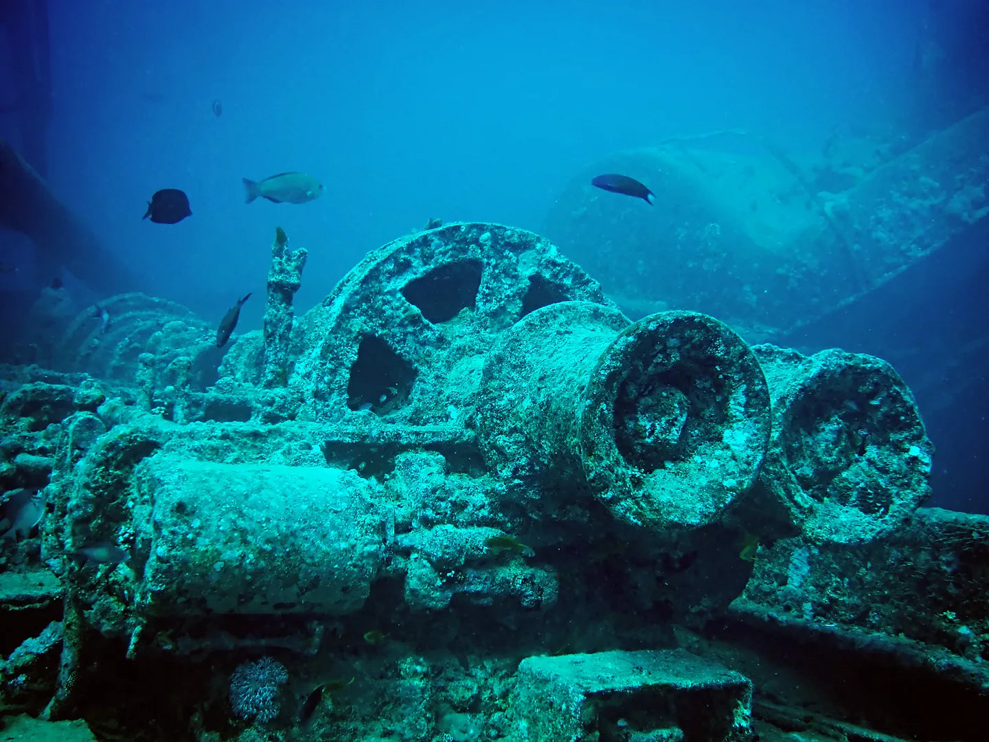 The BEST Thistlegorm Night Dives in 2026 – Shouf