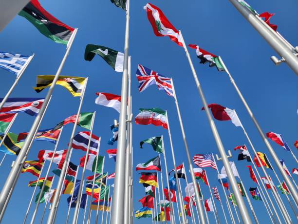 The BEST Flag Plaza Transit Tours in 2026 – Shouf