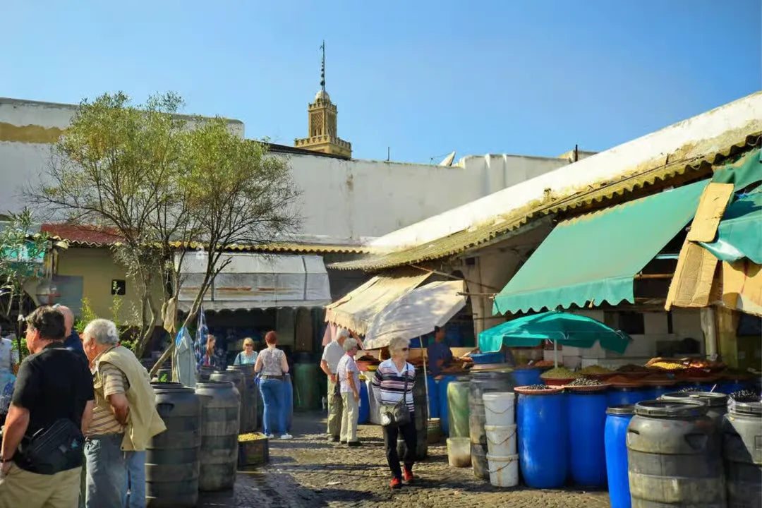 Casablanca: City Highlights and Hassan II Mosque Tour From Cruise Terminal