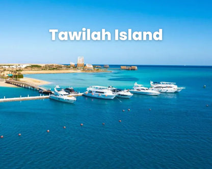 El Gouna: Bayoud, Shedwan veya Tawilah Adası'na Özel Tekne Günü Gezisi