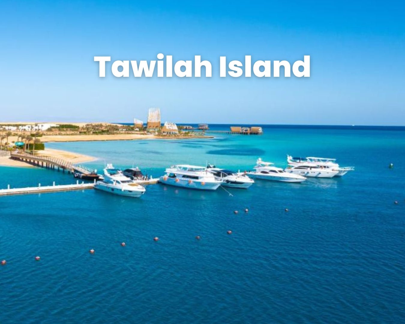 El Gouna: passeio particular de barco em catamarã para Bayoud