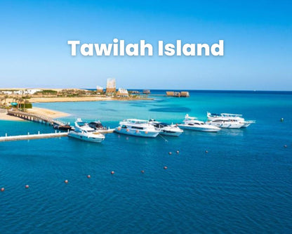 El Gouna: passeio particular de barco em catamarã para Bayoud