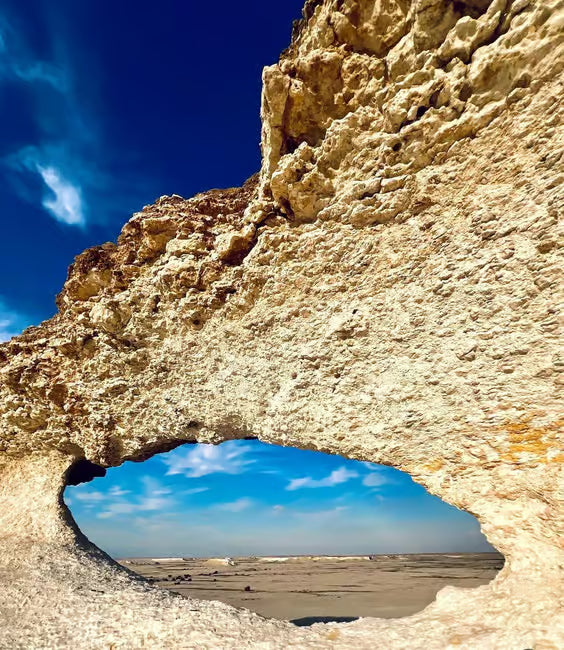 Doha: Westküste Katar, Kamelrennen und Wüstenskulpturen